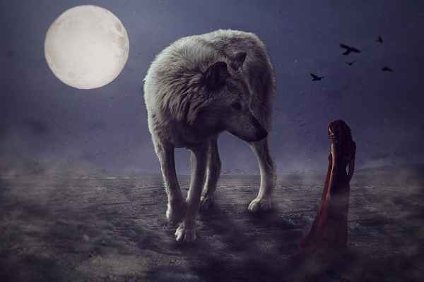 Alpha’s Regret-My Luna Has A Son | Werewolf Book Review - FicFun